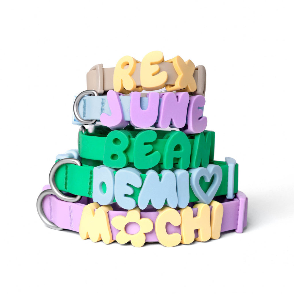 NeverLost™ Personalized Collar