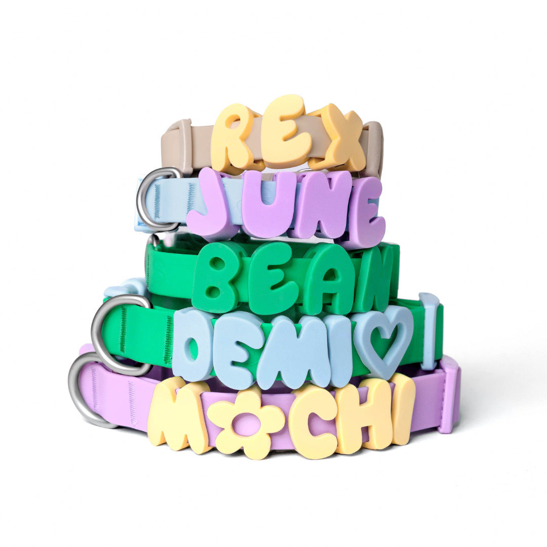 NeverLost™ Personalized Collar