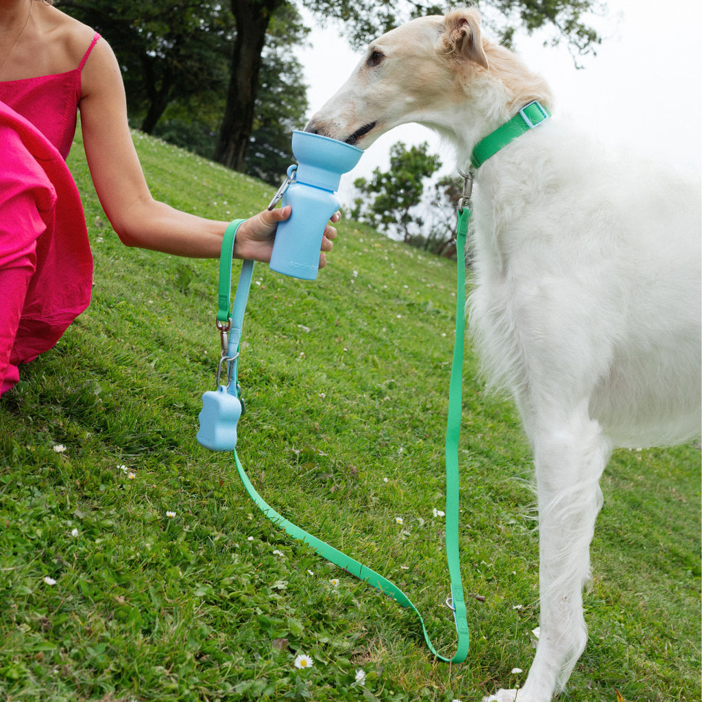 NeverLost™ Personalized Pet Leash - 5 ft