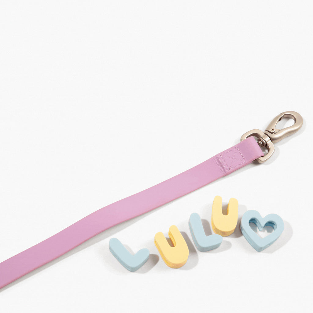 NeverLost™ Personalized Pet Leash - 5 ft