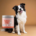Turkey Tail Daily Probiotic Sprinkle