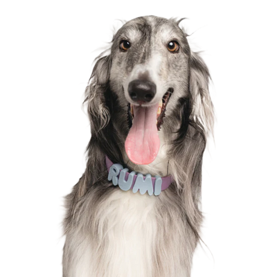 Happy Pup Guarantee!!