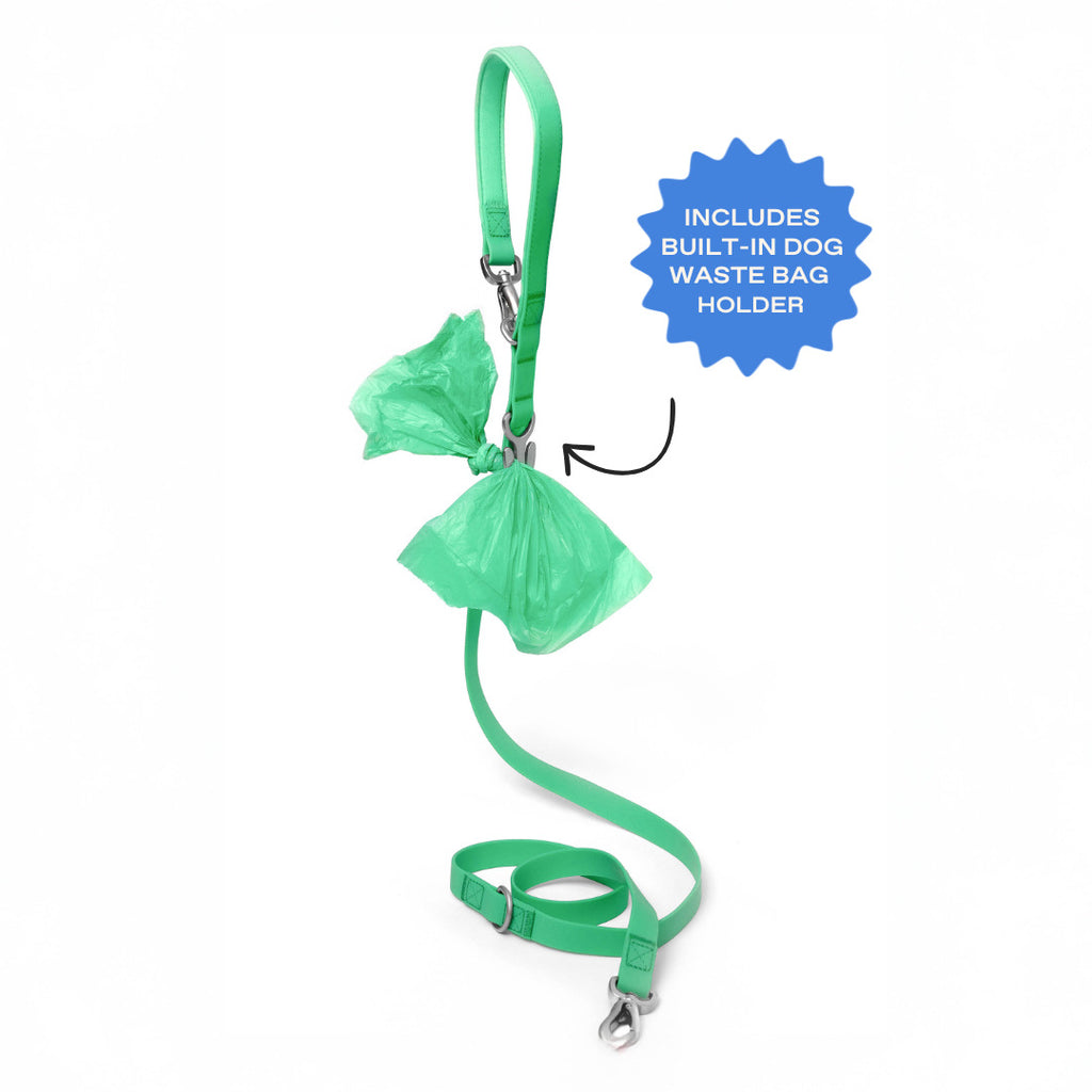 NeverLost™ Personalized Walk Set (Leash + Collar Bundle)