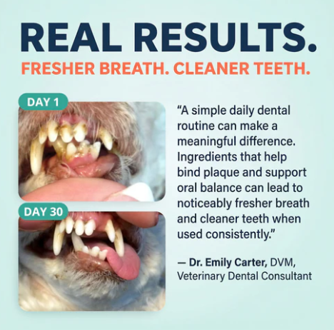 Breath Buddy Daily Dental Sprinkle