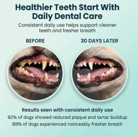 Breath Buddy Daily Dental Sprinkle