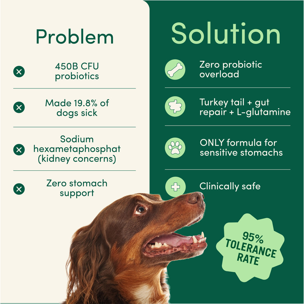 Breath Buddy Daily Dental Sprinkle