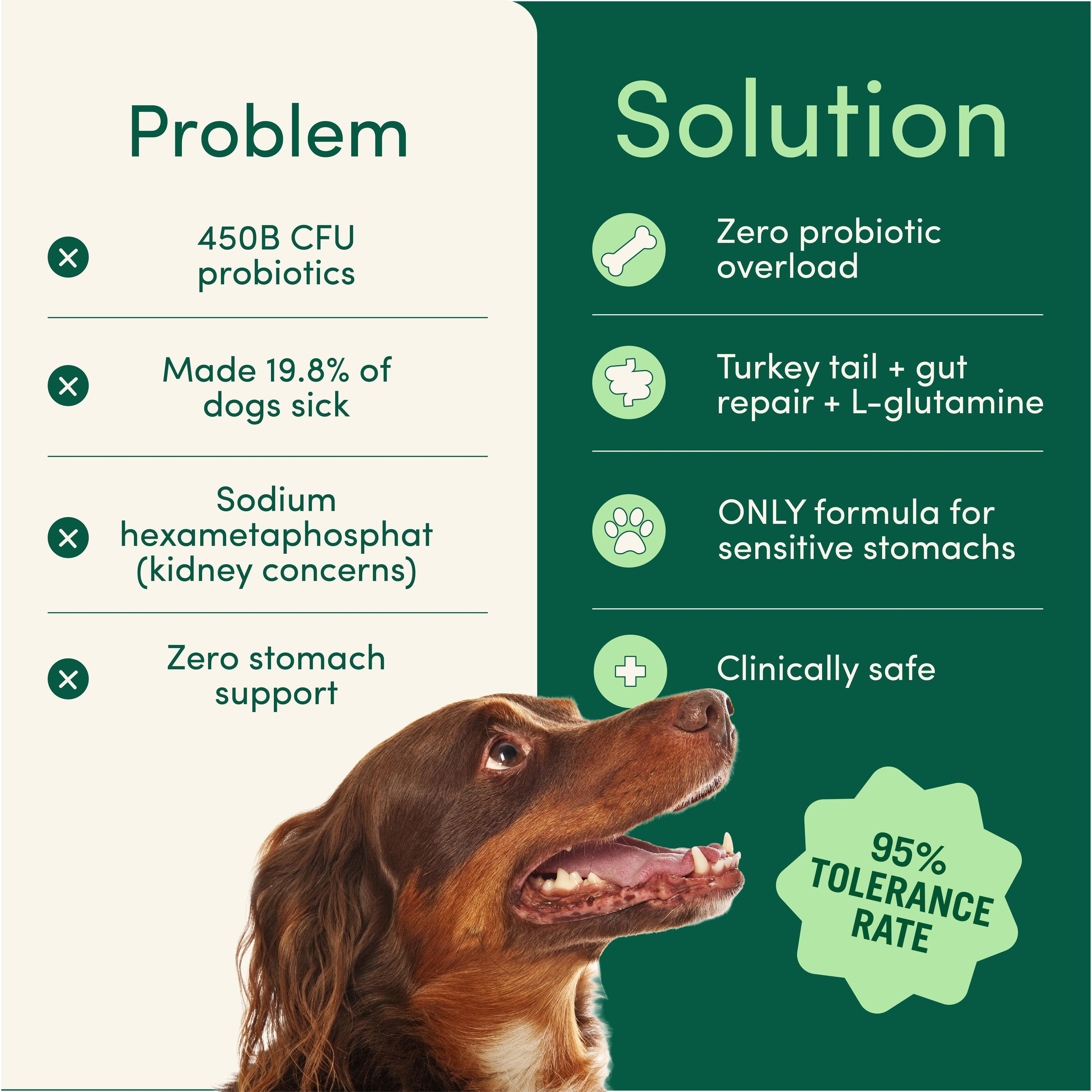 Breath Buddy Daily Dental Sprinkle