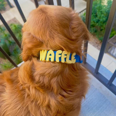 NeverLost™ Personalized Collar