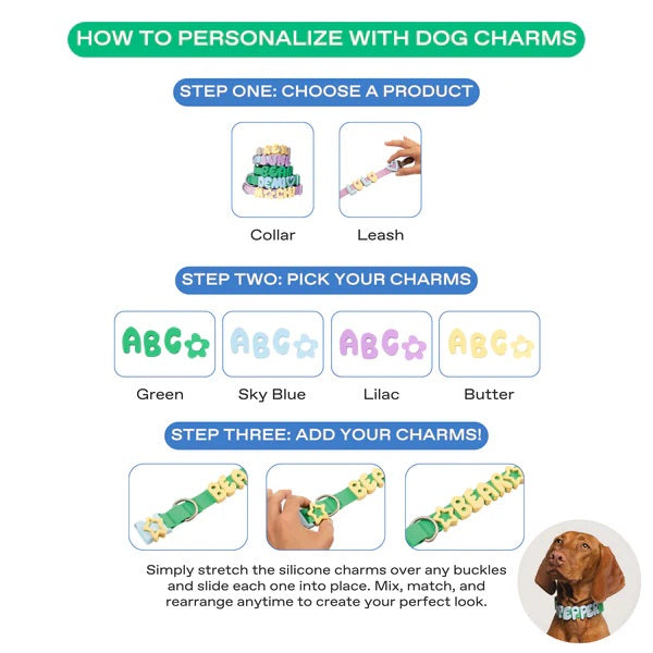 NeverLost™ Personalized Collar