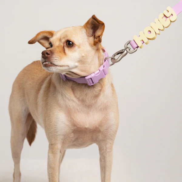 NeverLost™ Personalized Pet Leash - 5 ft