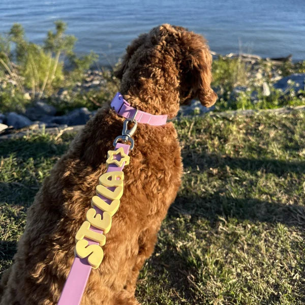 NeverLost™ Personalized Pet Leash - 5 ft