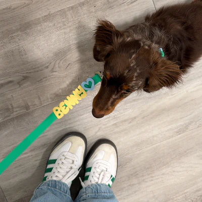 NeverLost™ Personalized Walk Set (Leash + Collar Bundle)