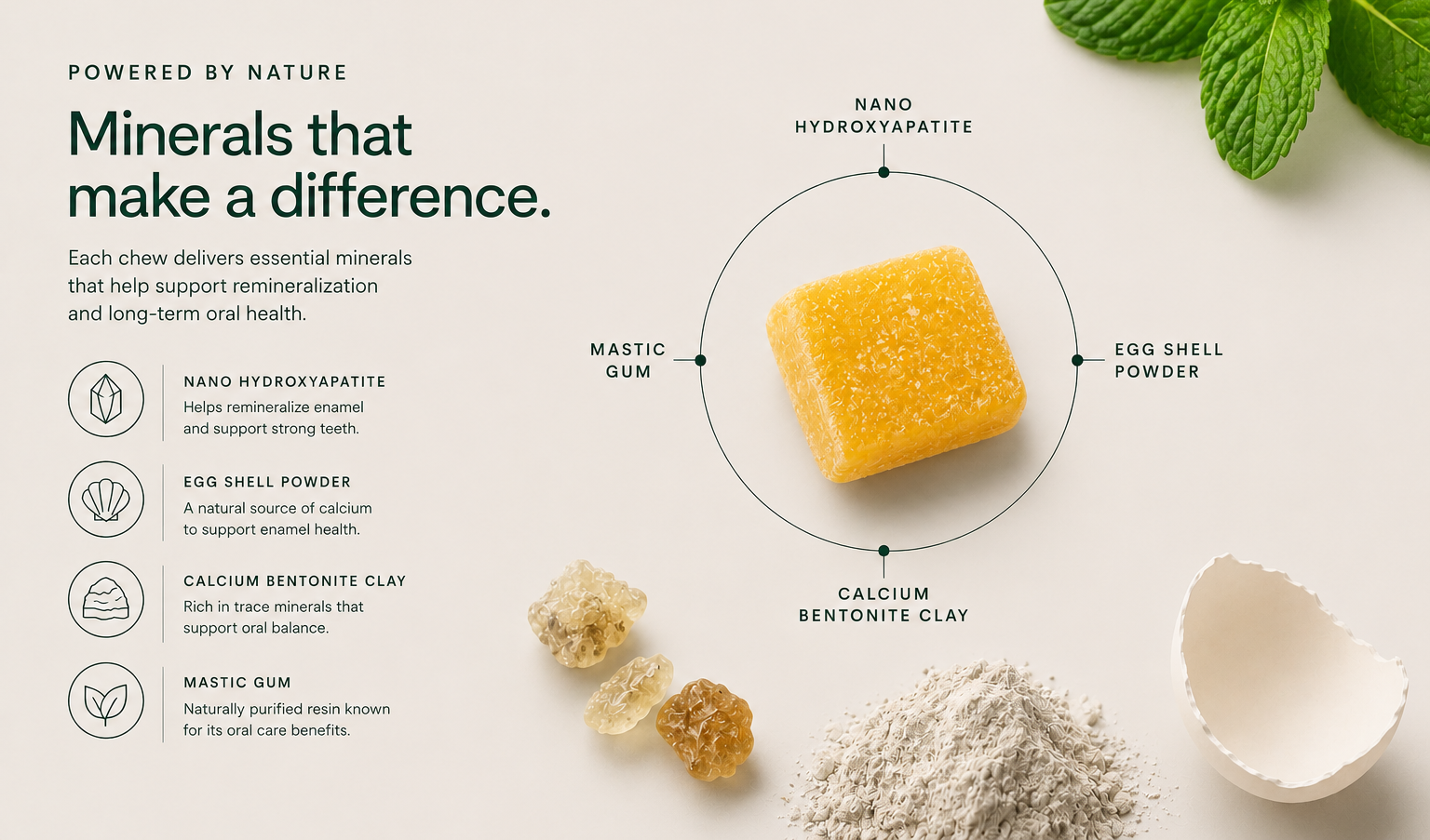 Essential Minerals for a Healthier Smile
